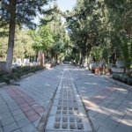 2025te-5-ilceye-yeni-mezarlik-alani-kazandirilacak.jpg