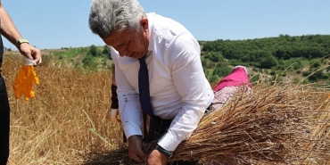 40-yil-aradan-sonra-kandirada-keten-uretimi-yeniden-basladi.jpg