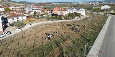 572-fidanli-koruluk-akhisara-nefes-olacak.jpg