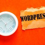 Wordpress Uzmanı (4)