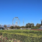 antalya-4-milyon-yazlik-cicekle-bahara-hazirlaniyor.jpg