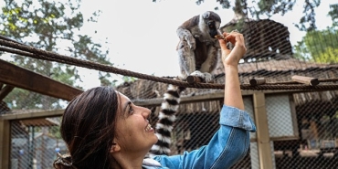 antalya-dogal-yasam-parkinda-yavru-lemur-sevinci.jpg