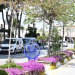 aydin-buyuksehir-belediyesinden-kusadasinda-kapsamli-calisma.jpg