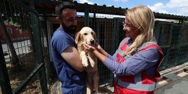 bakirkoy-belediyesi-veteriner-isleri-mudurlugu-hayvanlarin-yaninda.jpg