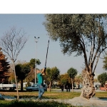 balcova-belediyesinden-kentin-bereketine-sahip-cikan-ornek-calisma.jpg