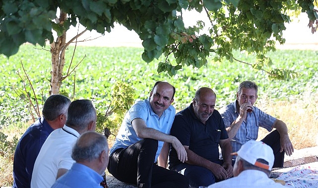 baskan-altay-altinekinde-hasat-yapti.jpg