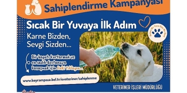 bayrampasada-can-dostlar-yuvalarini-bekliyor.jpg