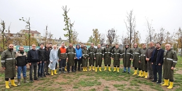 bayrampasada-yesil-vatan-seferberligi.jpg