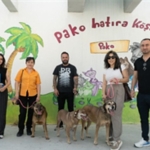bir-proje-uc-dost-hic-kopmayan-bag.jpg