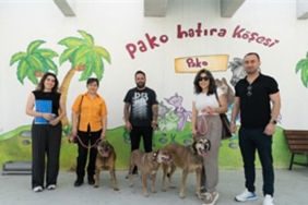 bir-proje-uc-dost-hic-kopmayan-bag.jpg