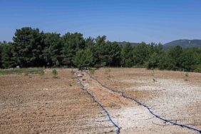 bornovada-atil-topraklar-hayat-buluyor.jpg