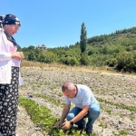 bornovadatarima-can-suyu.jpg