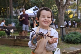 Bostanlarda Kış Dönemi Başladı