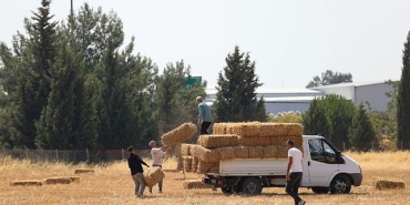 buca-belediyesinden-hayvanciliga-can-suyu.jpg