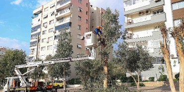 bucada-budama-seferberligi.jpg