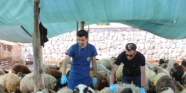 bucada-kurban-bayrami-oncesi-siki-denetim.jpg