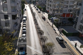 bucanin-refujleri-yenileniyor.jpg