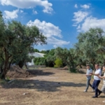 bucaya-yeni-nefes-alani.jpg