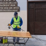 budanan-agaclar-geri-donusturuluyor.jpg