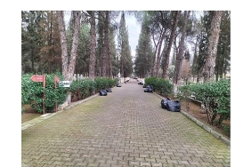buyuksehir-belediyesi-onculugunde-mezarliklarda-yogun-calisma.jpg