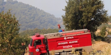 buyuksehir-ekipleri-orman-yanginina-mudahale-ediyor.jpg