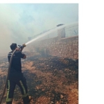 buyuksehir-itfaiyesinden-orman-yanginina-mudahale.jpg
