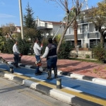 buyuksehir-kent-genelinde-budama-calismalarina-devam-ediyor.jpg