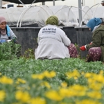 buyuksehir-manisanin-suyunu-korumak-icin-calisiyor.jpg