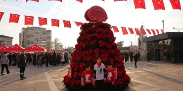 buyuksehirden-10-kasima-ozel-1087-ataturk-cicegi.jpg