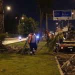buyuksehirden-gece-budama-calismasi.jpg