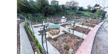 canikte-park-seferberligi-park-alanlari-144-bin-metrekareye-yukseldi.jpg