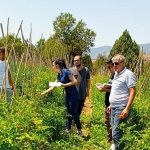 cankaya-belediyesinden-organik-pazar-denetimleri.jpg