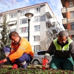 cankaya-parklari-cicek-aciyor.jpg