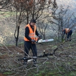 cigli-belediyesi-orman-yangininin-izlerini-silmek-icin-seferber-oldu.jpg