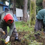 daha-yesil-bir-edremit-icin.jpg