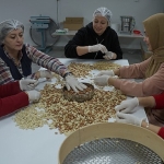 deprem-bolgesinde-kadin-kooperatiflerinin-umut-ve-dayanisma-hikayesi-yeniden-digiturkte.jpg