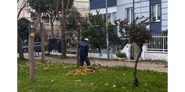 didim-belediyesi-ekiplerinden-ilce-genelinde-yogun-mesai.jpg