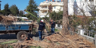didim-belediyesi-ilcedeki-agaclarin-kis-bakimlarini-gerceklestiriyor.jpg