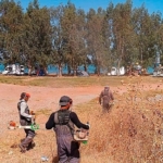 didim-belediyesi-kent-genelindeki-bakim-calismalarini-araliksiz-surduruyor.jpg