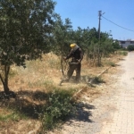 didim-belediyesi-yesil-alanlarda-bakim-calismalarini-surduruyor.jpg