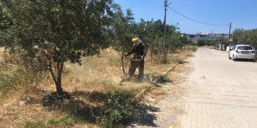 didim-belediyesi-yesil-alanlarda-bakim-calismalarini-surduruyor.jpg