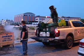 didim-belediyesinden-sinek-ve-haserelere-karsi-kapsamli-mucadele.jpg