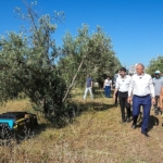 gaziemirde-yabani-otlarla-mucadelede-teknoloji-destegi.jpg