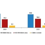 girisimlerde-bilisim-teknolojileri-kullanim-arastirmasi-2025.jpg
