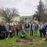 golcukte-orman-haftasinda-zeytin-agaclari-toprakla-bulustu.jpg