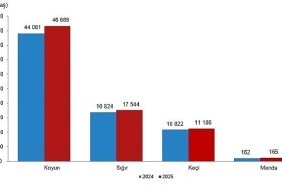 hayvansal-uretim-istatistikleri-2025.jpg