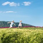 hilton-dalaman-sarigerme-resort-spa-23-nisanda-farkli-ulkelerden-cocuklari-biraraya-getiriyor-f4bgeNpi.jpg