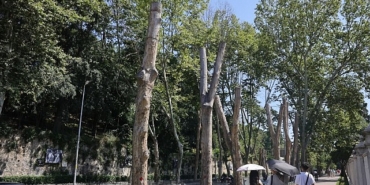 ibbden-cinar-kanserine-karsi-bilimsel-koruma.jpg