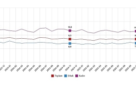 isgucu-istatistikleri-kasim-2025.jpg
