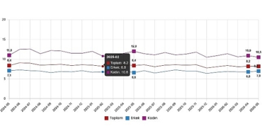 isgucu-istatistikleri-mayis-2026.jpg